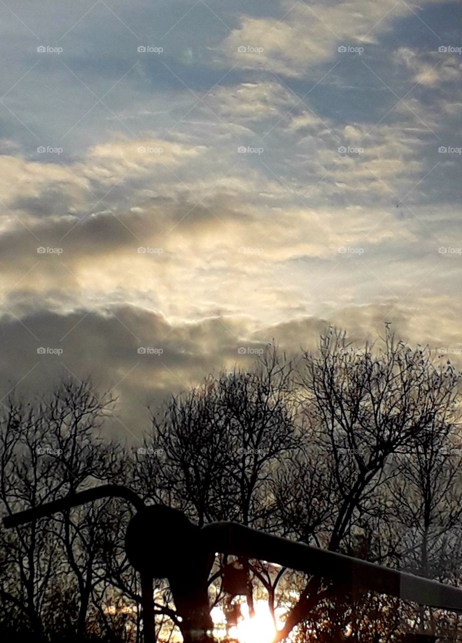 sunset black silhouettes of trees  coloured clouds