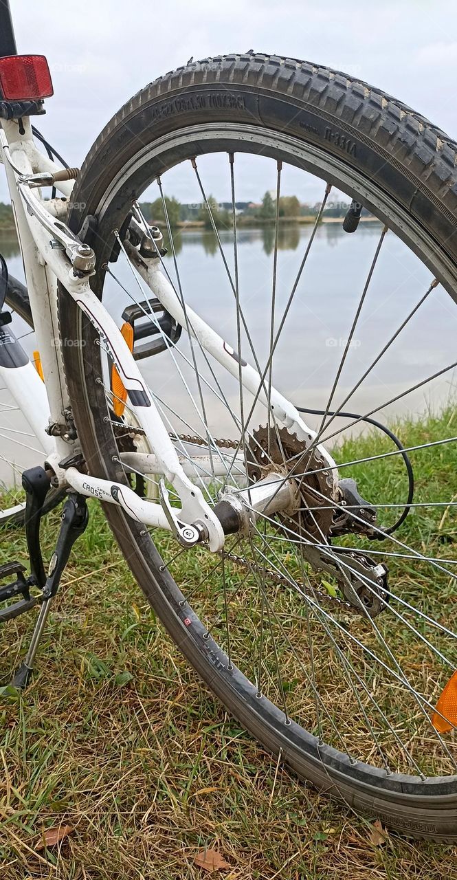 bike wheel geometric pattern