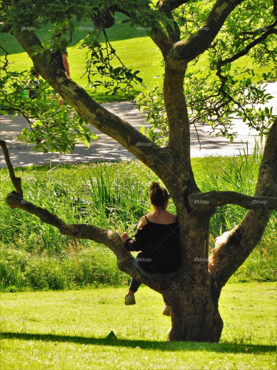 In the park