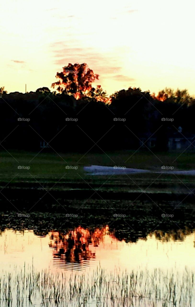 reflections. lake life