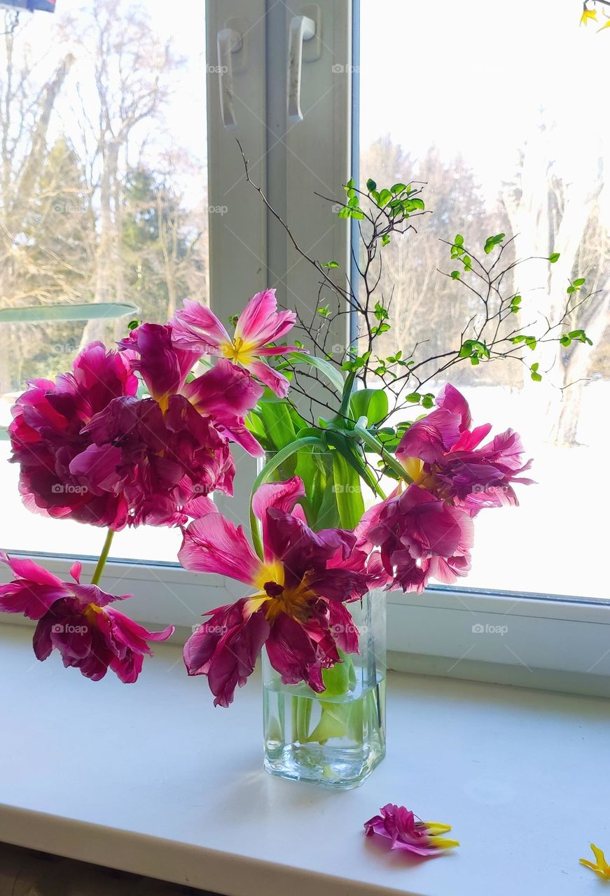 Bouquet of flowers in a vase at the window.