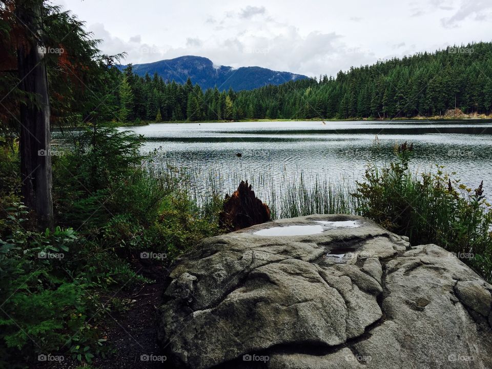 Scenic view of a lake and forest