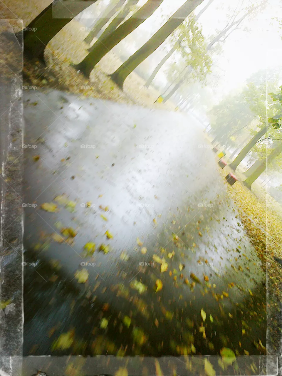 autumn
