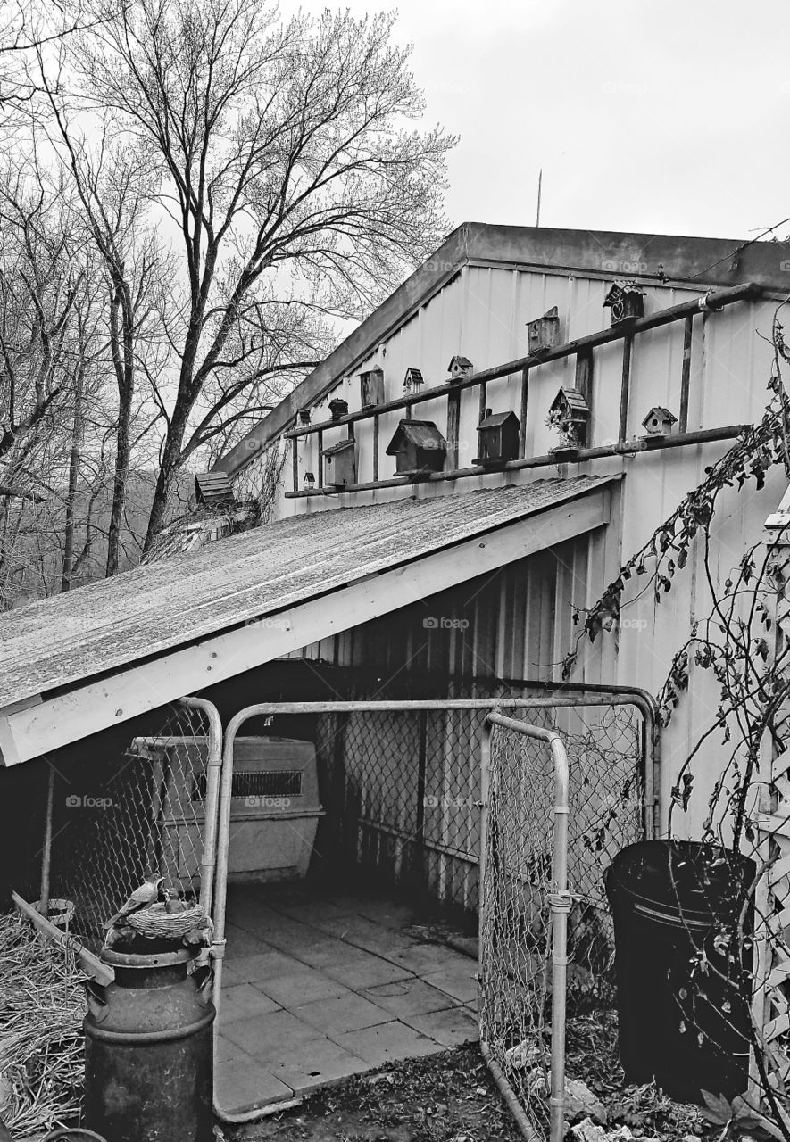 Finally got the roof on the dog kennel