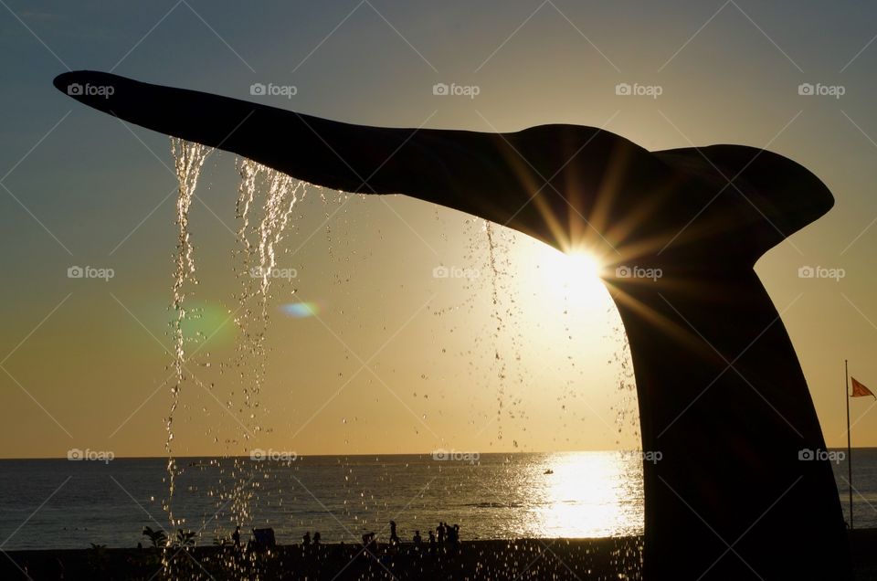 Water dropping from a fish tail 