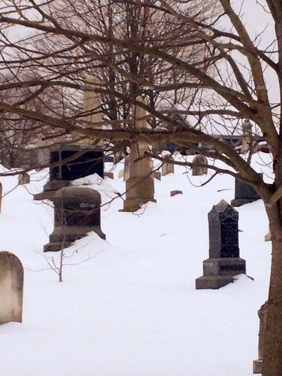 snowy cemetery
