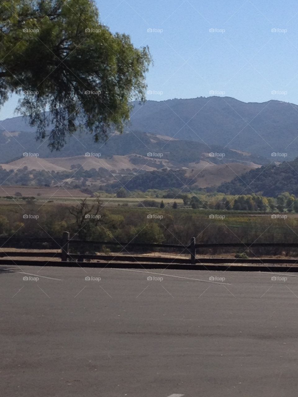 Santa Ynez landscape 