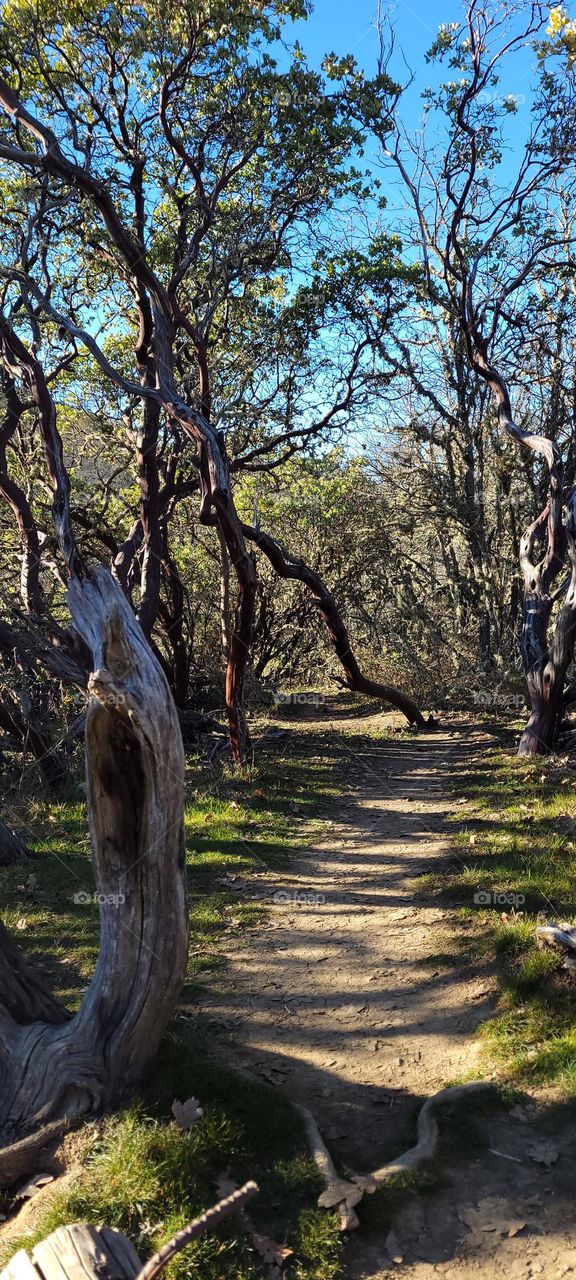 Upper Table Rock Trail