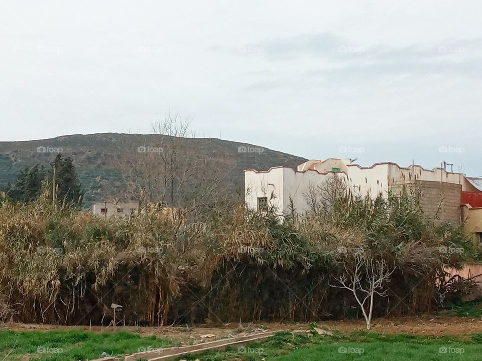 Population between the nature