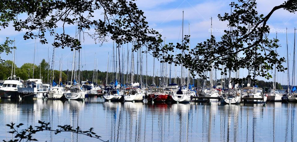 Boats in a dock