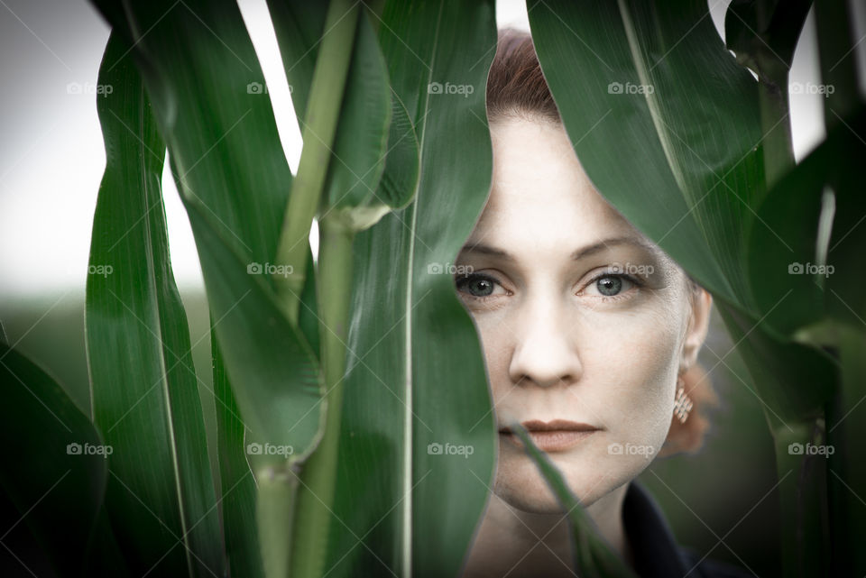 Portrait of serious woman face looking through green corn leaves