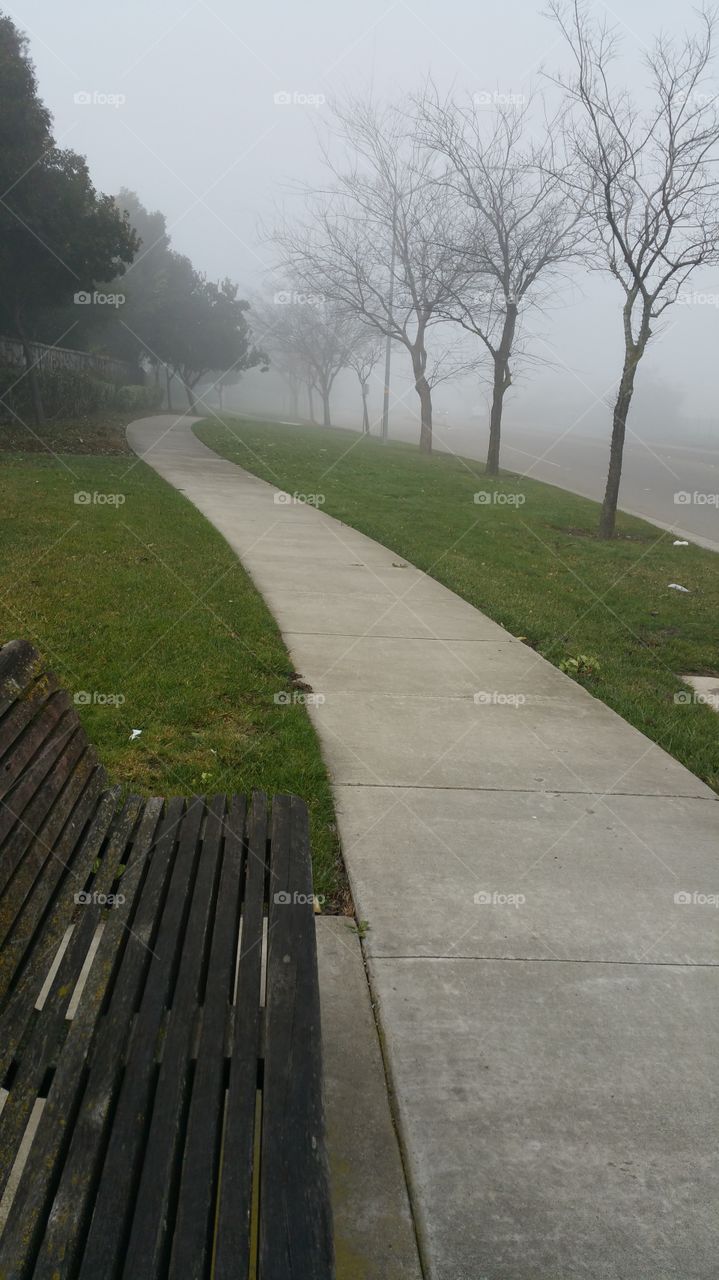 Foggy Running Path