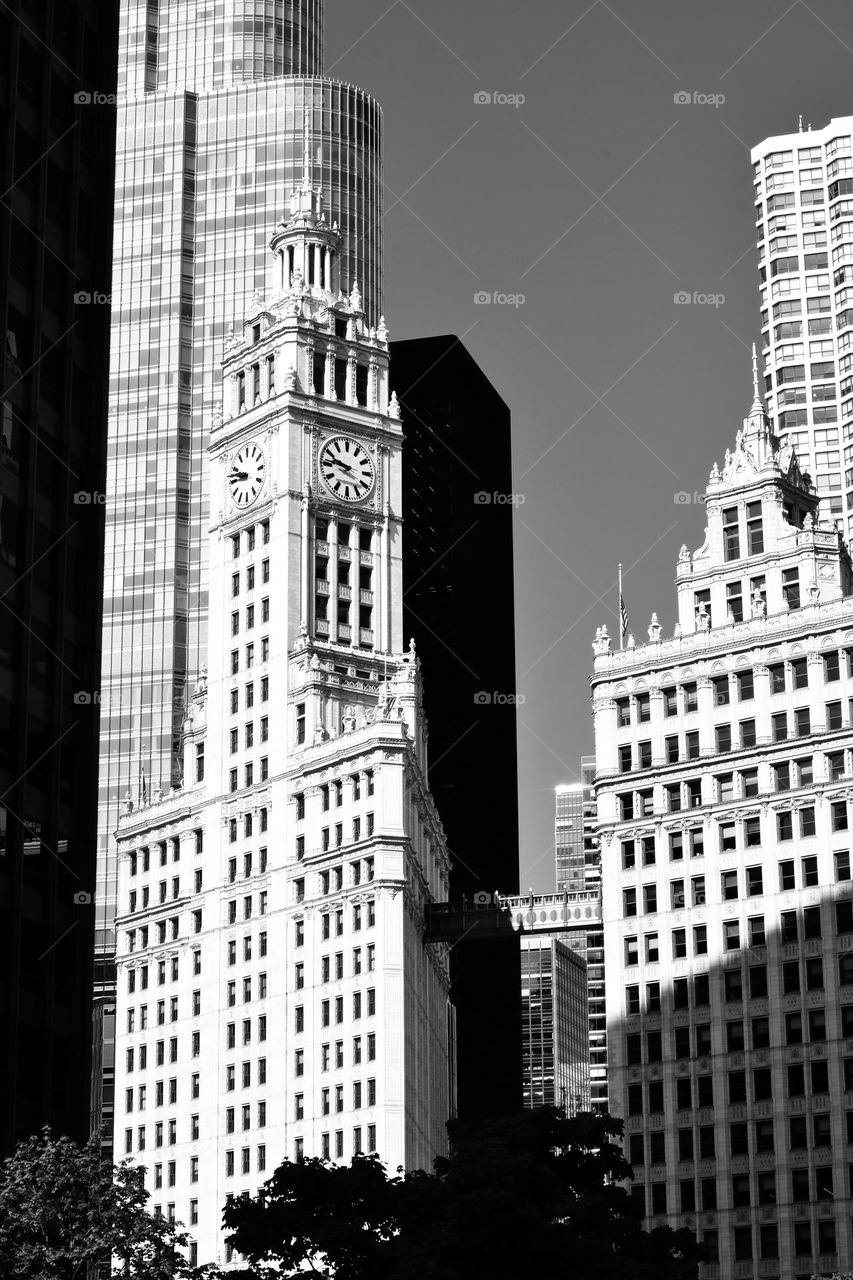 The beauty of skyscrapers. A memory from our Chicago Trip.