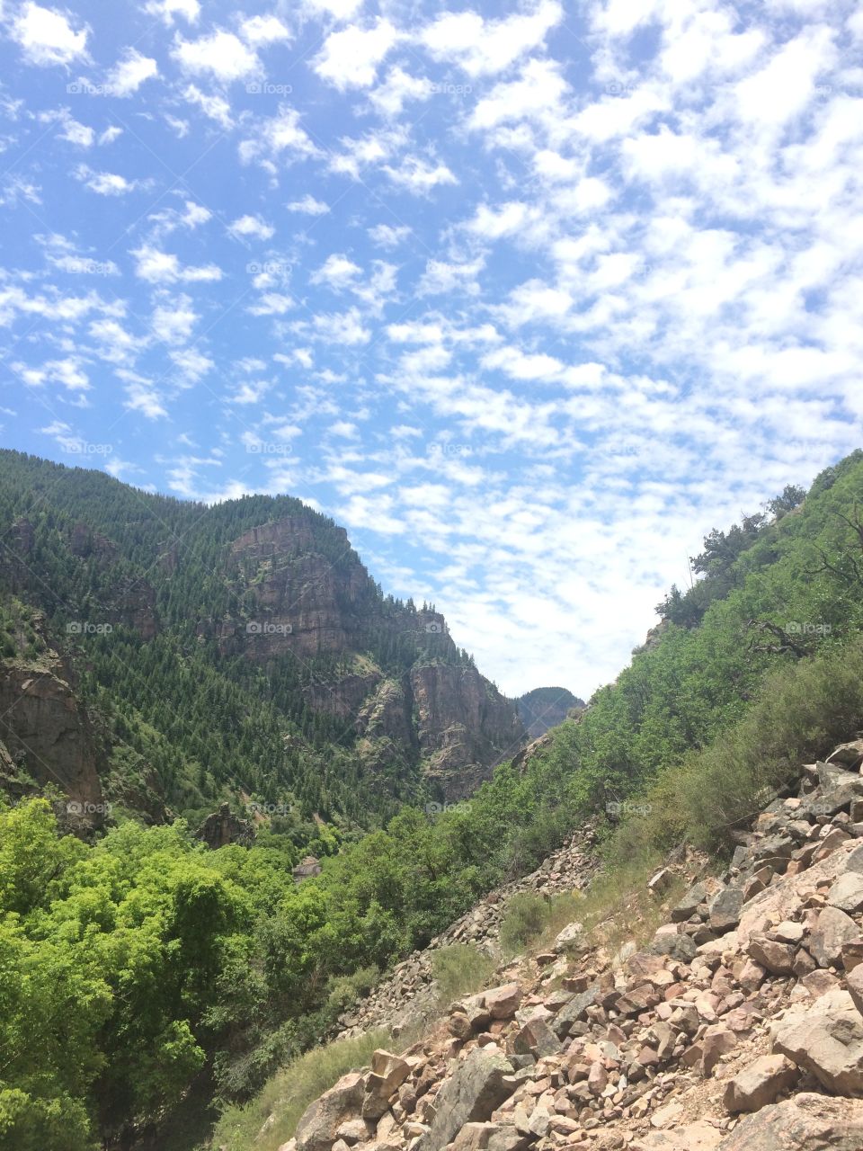 Canyon in Colorado 