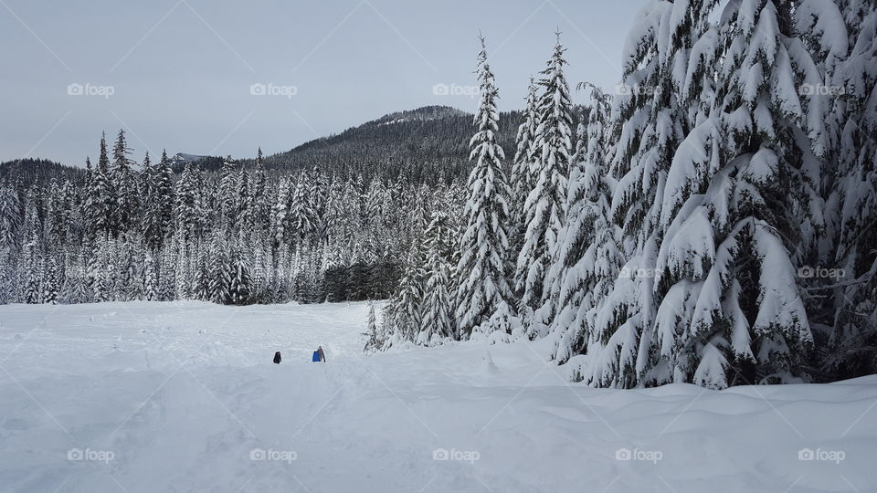 sledding with a view