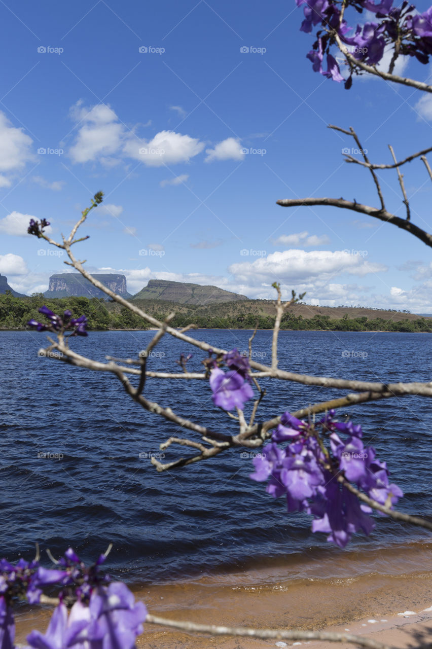 Canaima National Park in Venezuela.