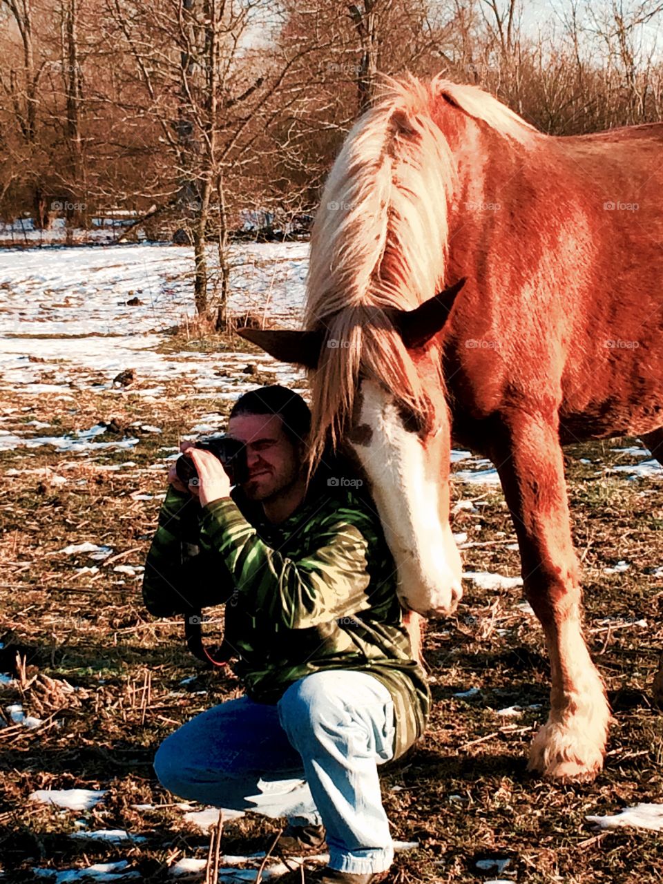 Loving Clydesdale buddy helping out on a photo shoot