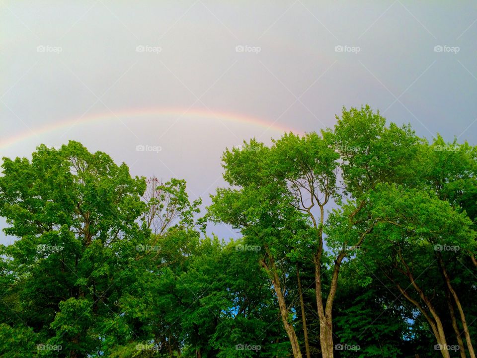 Thunther lightning, rain a rainbow!