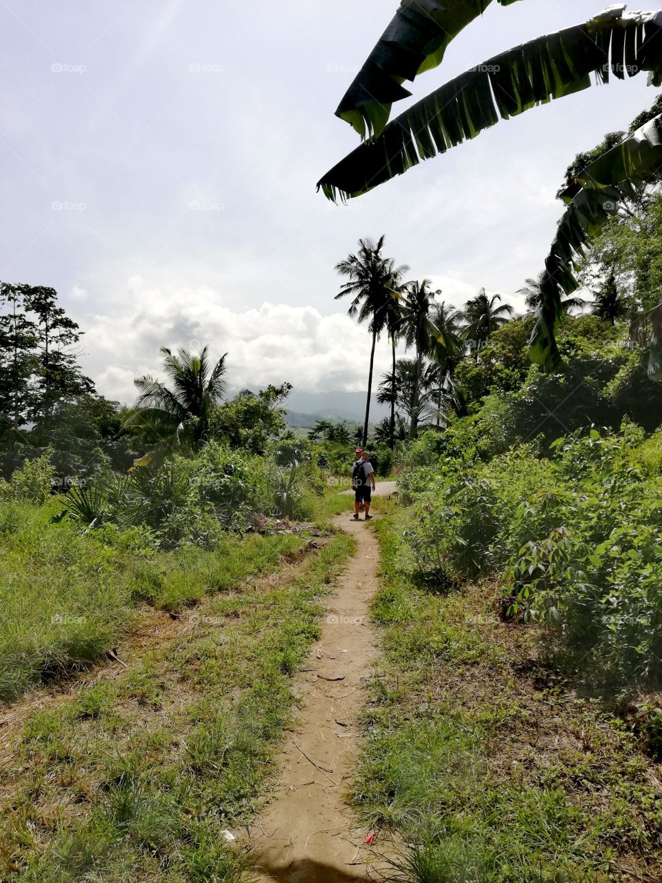 Narrow path leading through tropical exotic landscape on island of Mindoro, Philippines