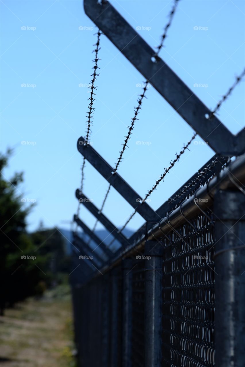 barbed wire fence blue sky