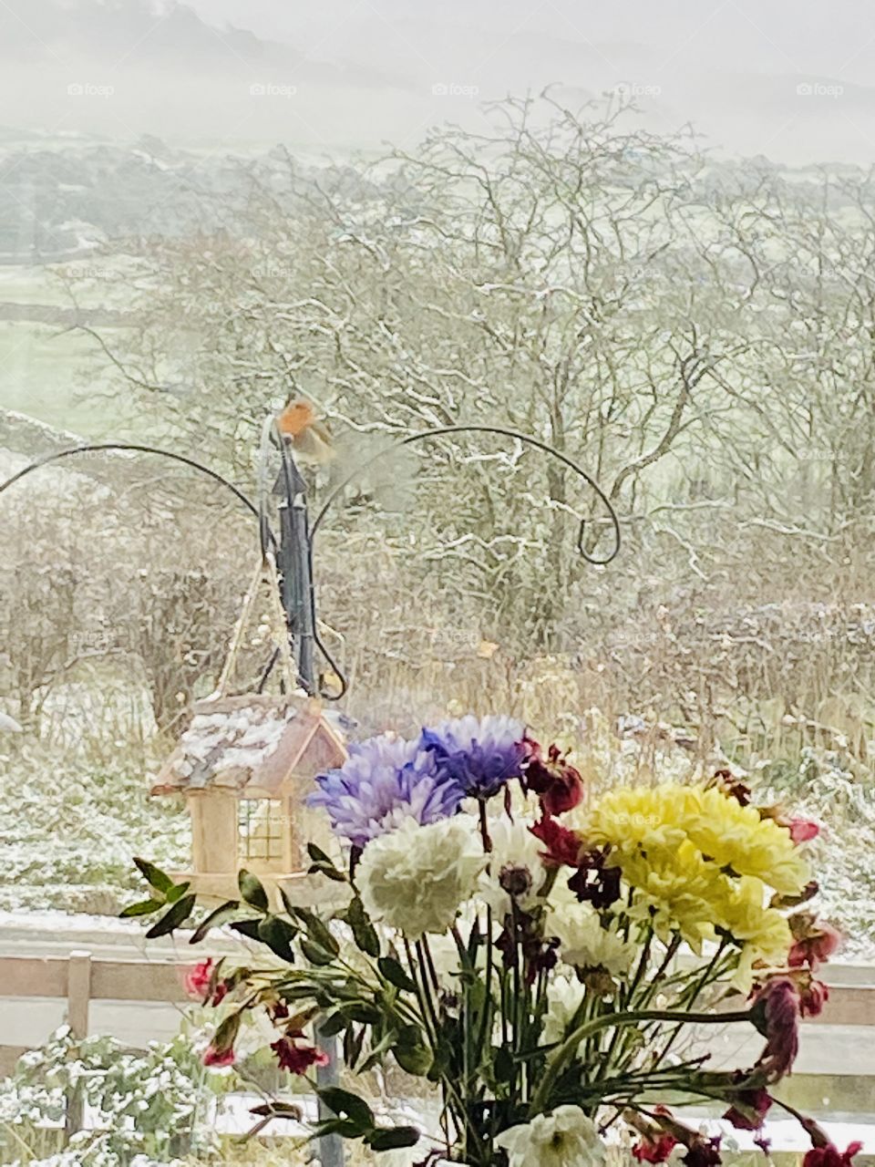 Wee Robin 🏴󠁧󠁢󠁳󠁣󠁴󠁿