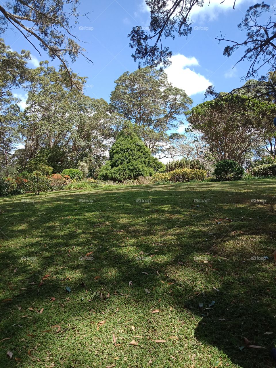 a large landscaped park or garden