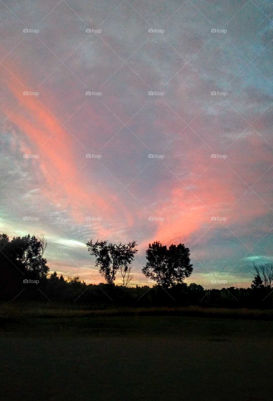 pink clouds flow from tree silhouettes