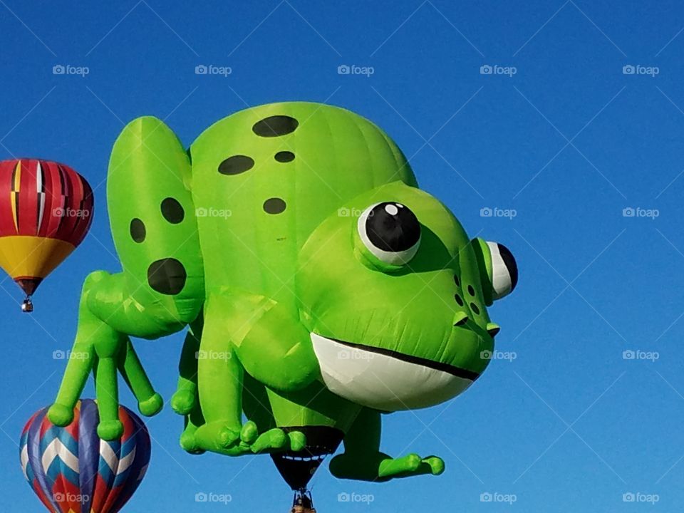 Frog Hot AIR balloon