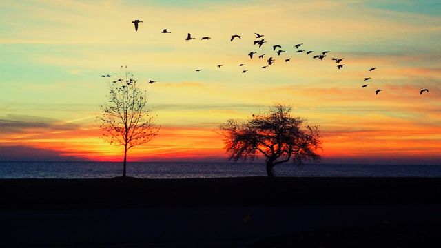 sunset