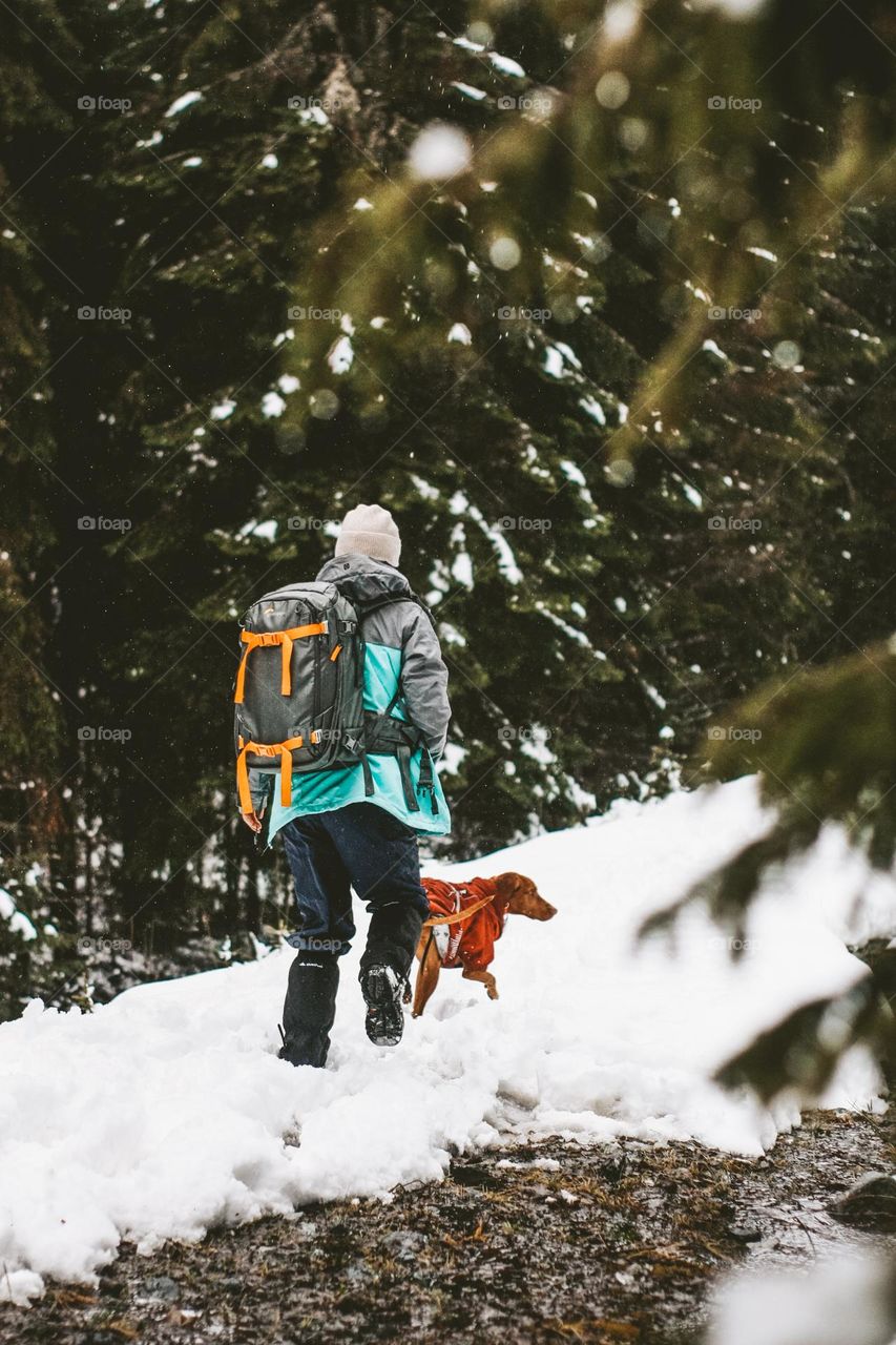woman hiking with her viszla dog during winter on a snowy path