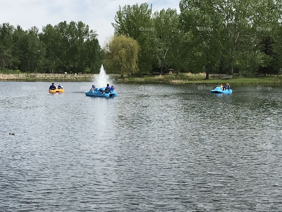 Three pedal boats on the pond.