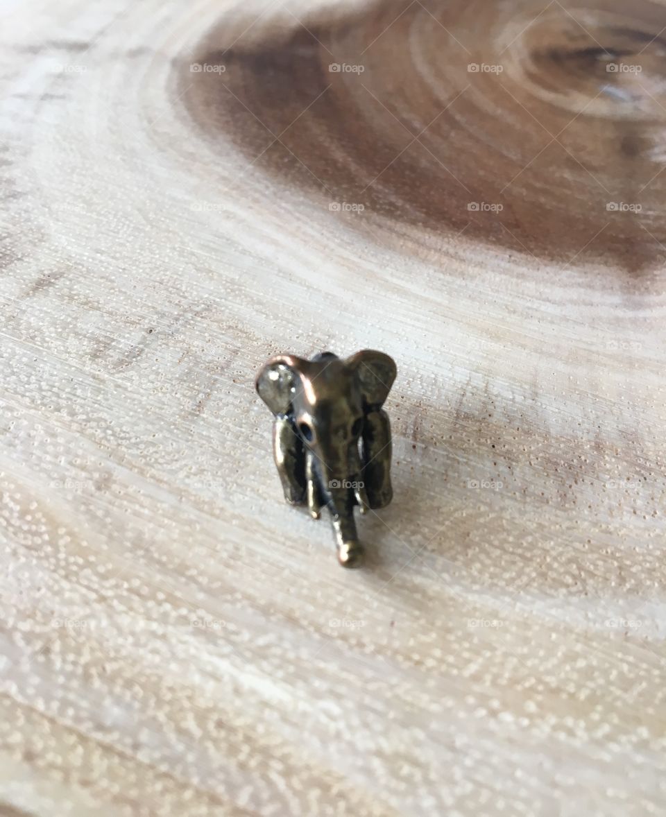 Elephant 