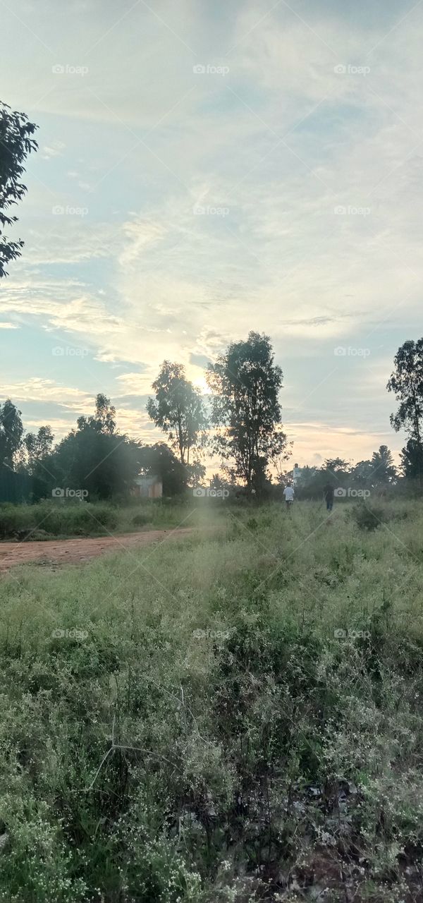 Sunny Day 🌅❤️✨