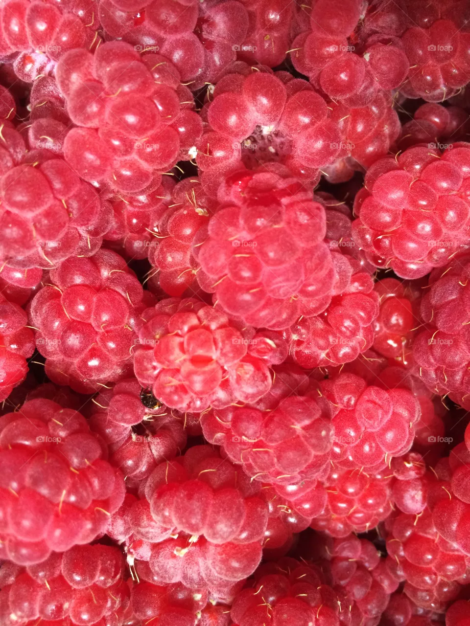 Fruits 