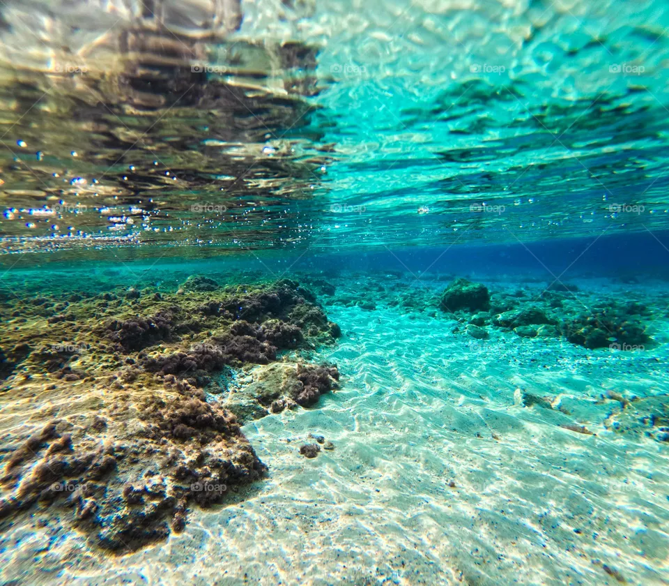 This picture represents the beauties under the water