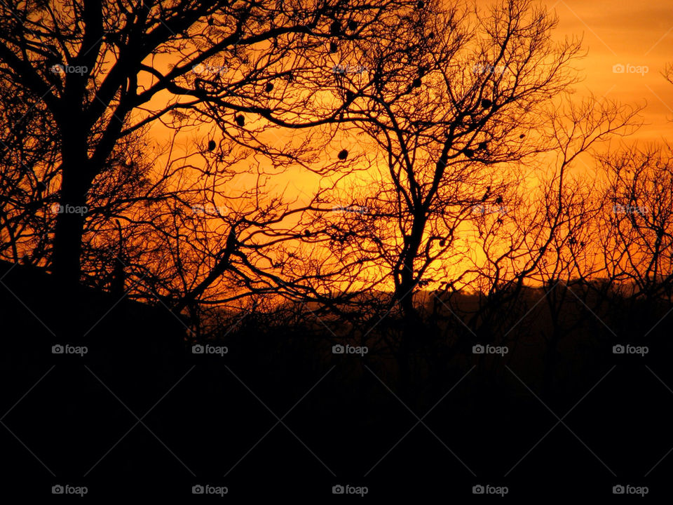 sunset orange africa south by gatordukie