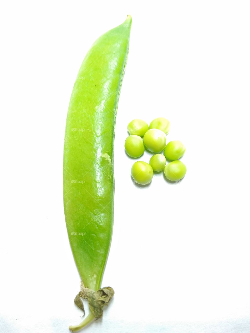 A picture of pea pod on white background