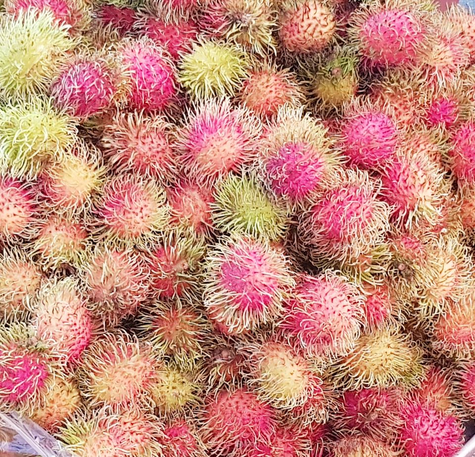 nice and colorfull, lychee fruits.