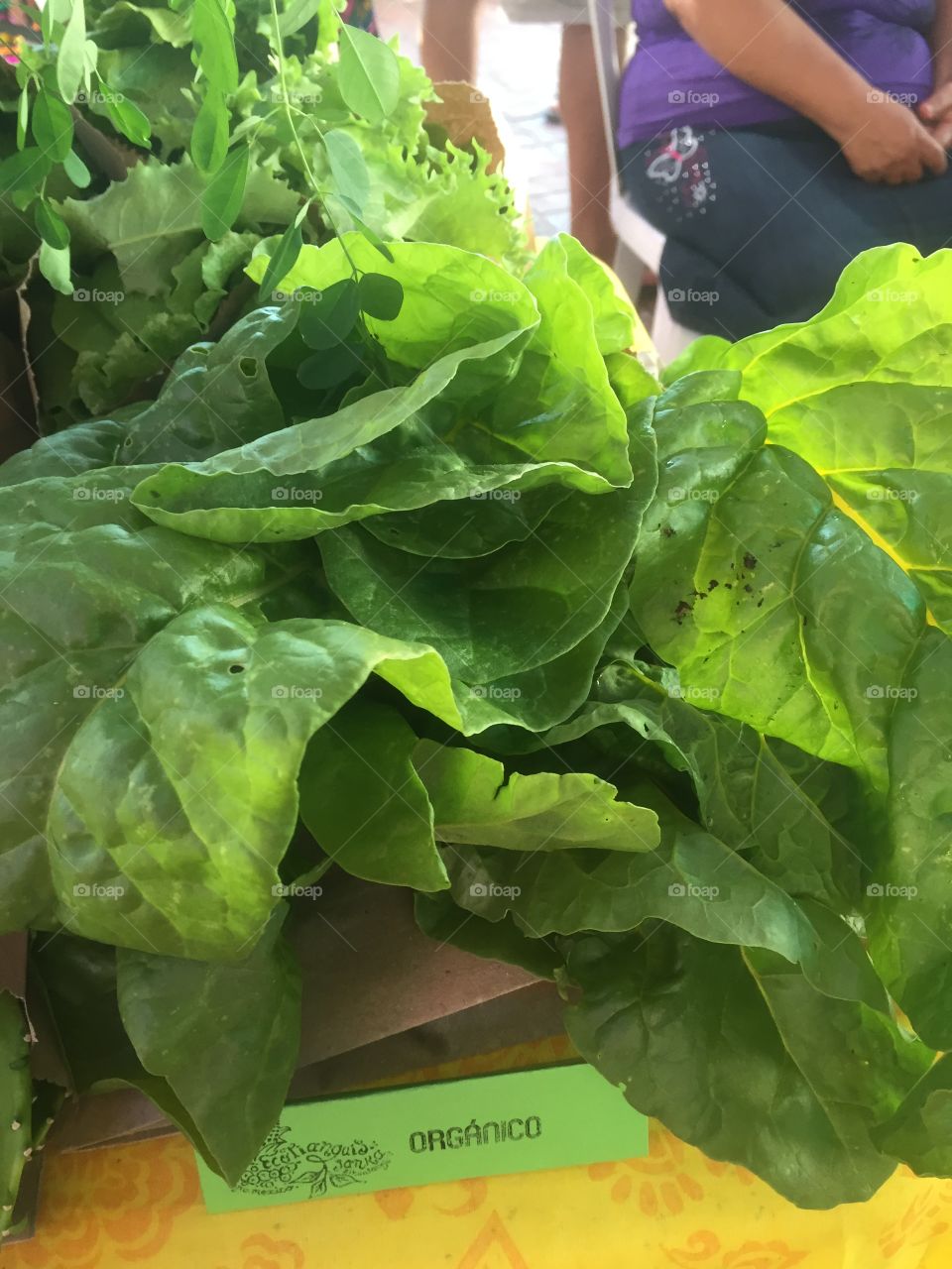 Organic lettuce at farmers market