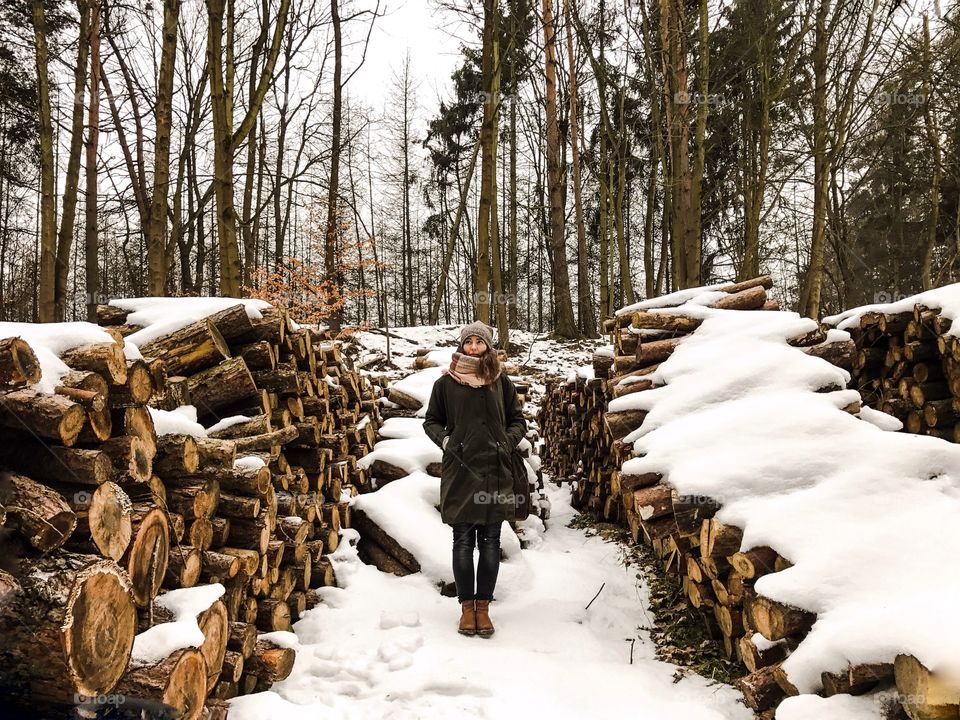 Winter, Wood, Tree, Snow, Cold