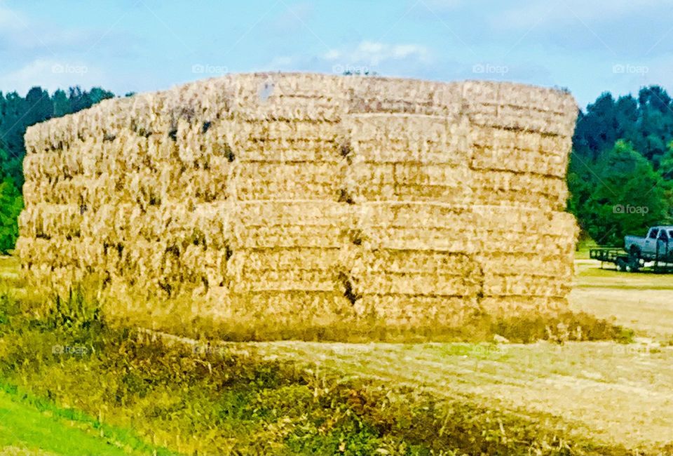 Haystack 