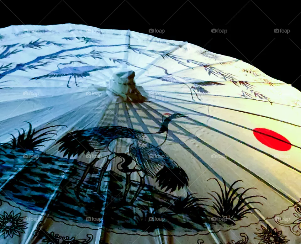 Oriental Umbrella