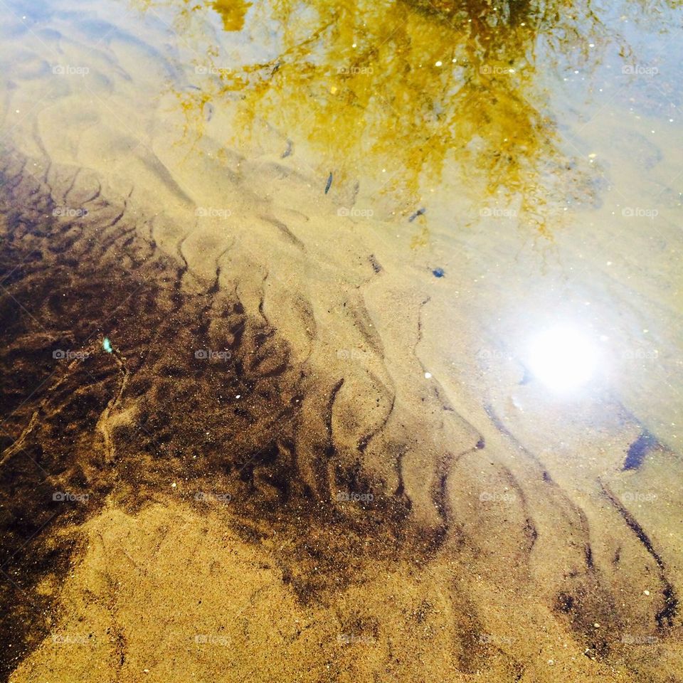 River reflections