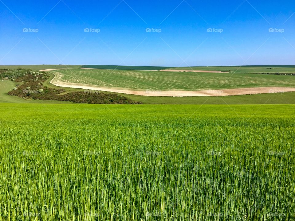 Landscape view of cropped fields with blue sky