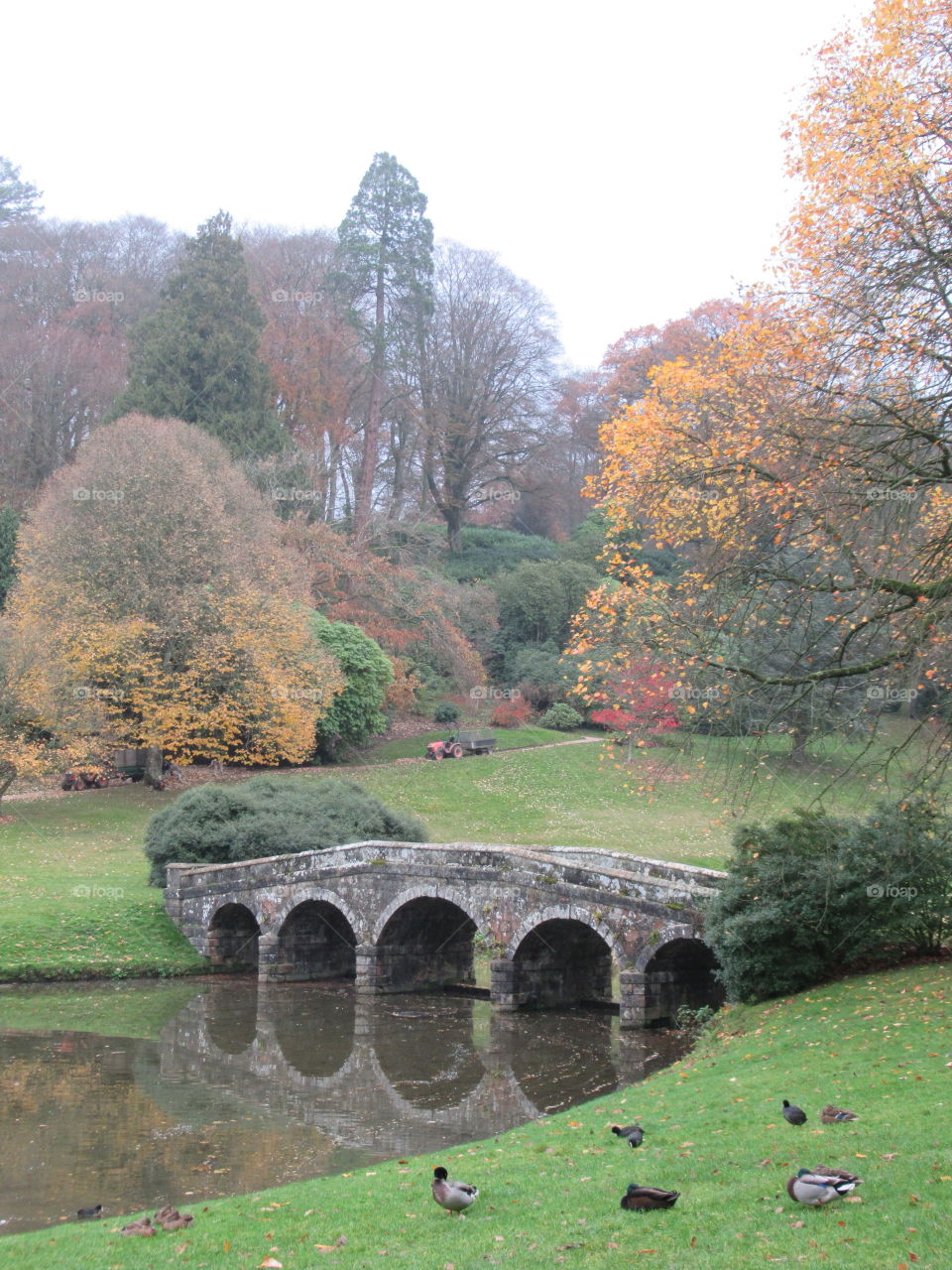 Stourhead national trust garden in the autumn and all the trees looking very colourful 🍁🍁