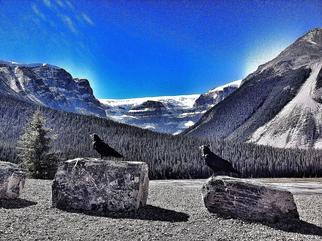 Nature
