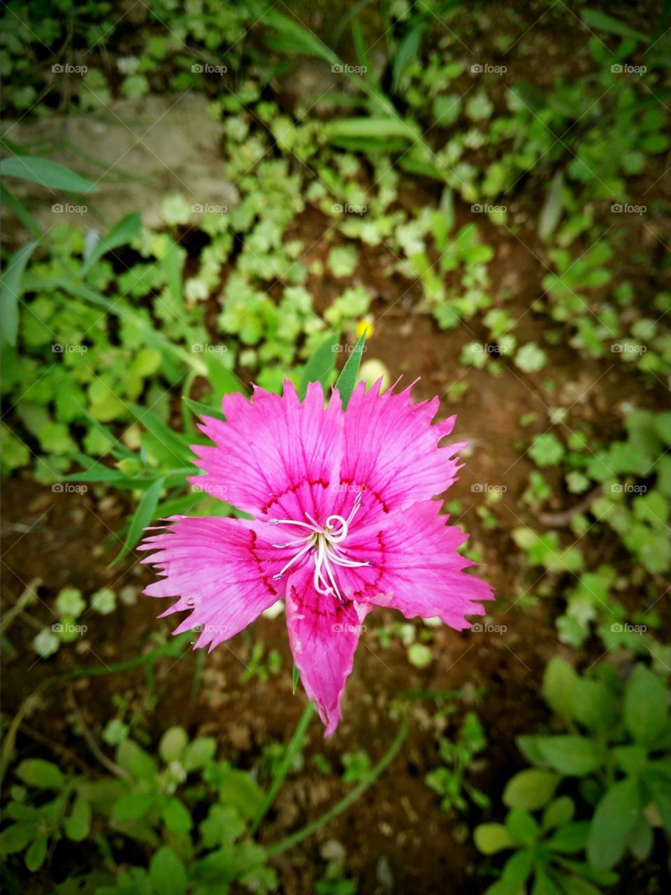 Nature says.. learn to hear