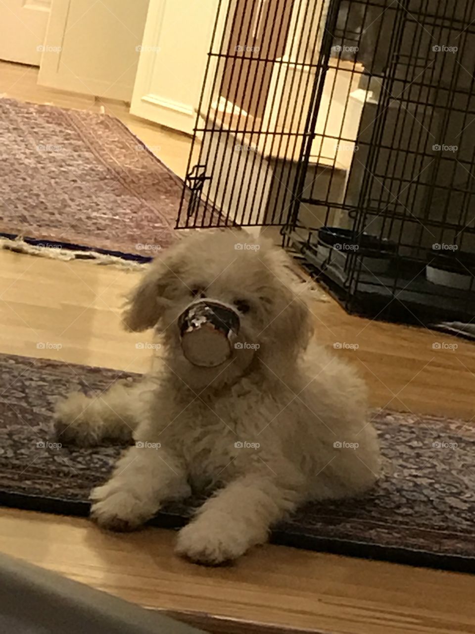 Is there something on my face?