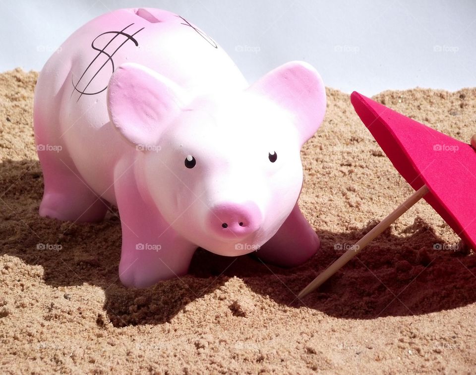 Pig's bank, pig bank