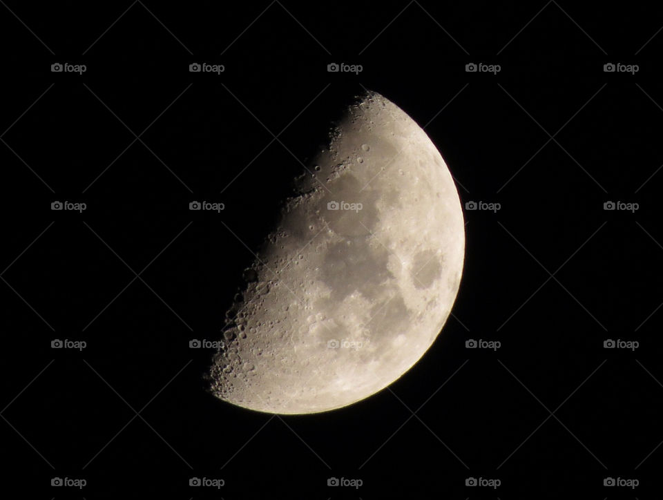 Our moon. Half moon as seen from my backyard